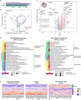 Proteomic profiling of neutrophils and plasma in community-acquired pneumonia reveals crucial proteins in diverse biological pathways linked to clinical outcome